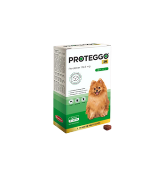 PROTEGGO 2 - 4.5